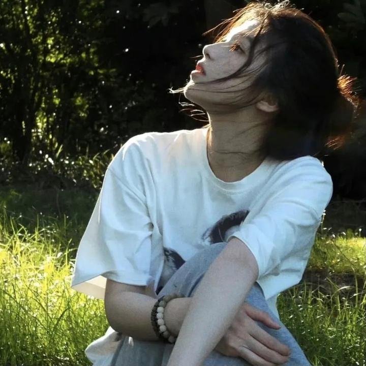 囧妈的极地任务